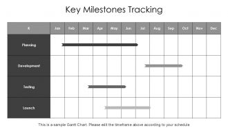 Application Development Action Steps And Progress Chart PPT Presentation AT Ideas Attractive