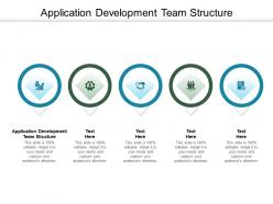 Application development team structure ppt powerpoint presentation icon cpb