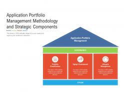 Application portfolio management methodology and strategic components