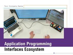 Application programming interfaces ecosystem powerpoint presentation slides