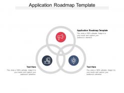 Application roadmap template ppt powerpoint presentation portfolio examples cpb