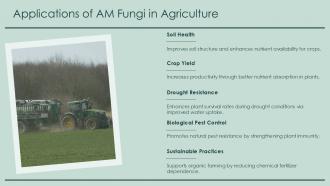 Applications Of AM Fungi In Agriculture Mycorrhizal PPT Mockup ACP Applications Of AM Fungi In Agriculture Mycorrhizal PPT Mockup ACP