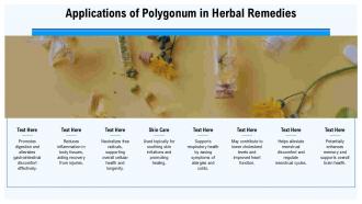 Applications Of Polygonum In Herbal Remedies PPT Slides ST AI SS