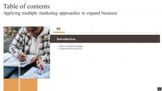 Applying Multiple Marketing Approaches To Expand Business Strategy CD V Interactive Slides