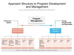 Approach structure to program development and management