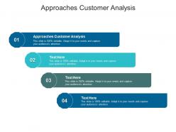 Approaches customer analysis ppt powerpoint presentation infographics sample cpb