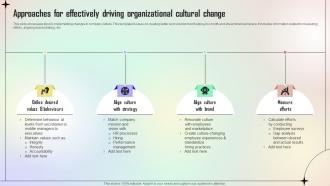 Approaches For Effectively Driving Organizational Cultural Change