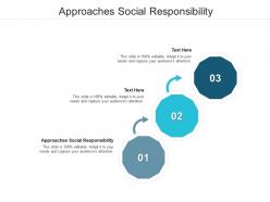Approaches social responsibility ppt powerpoint presentation infographic template slideshow cpb