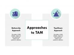 Approaches to tam ppt powerpoint presentation ideas professional