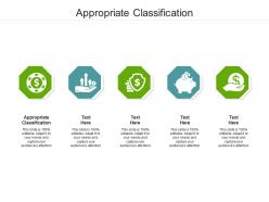 Appropriate classification ppt powerpoint presentation styles grid cpb