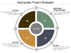 Appropriate project strategies ppt powerpoint presentation ideas graphics example cpb