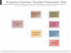Apt Budgeting Expenses Template Presentation Slide