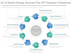 Apt Go To Market Strategy Business Plan Ppt Examples Professional