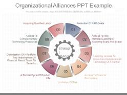 Apt Organizational Alliances Ppt Example