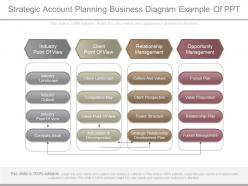 Apt strategic account planning business diagram example of ppt