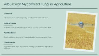 Arbuscular Mycorrhizal Fungi In Agriculture PPT Template ACP Arbuscular Mycorrhizal Fungi In Agriculture PPT Template ACP