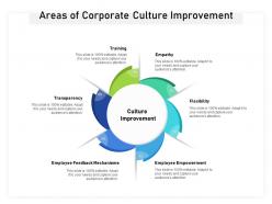 Areas of corporate culture improvement
