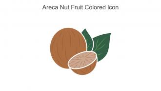 Areca Nut Fruit Colored Icon In Powerpoint Pptx Png And Editable Eps Format