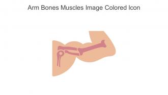 Arm Bones Muscles Image Colored Icon In Powerpoint Pptx Png And Editable Eps Format