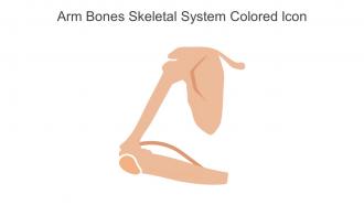 Arm Bones Skeletal System Colored Icon In Powerpoint Pptx Png And Editable Eps Format