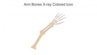 Arm Bones X Ray Colored Icon In Powerpoint Pptx Png And Editable Eps Format