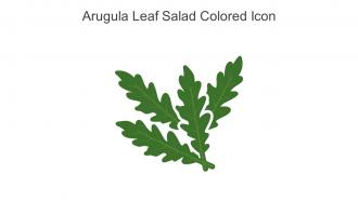 Arugula Leaf Salad Colored Icon In Powerpoint Pptx Png And Editable Eps Format