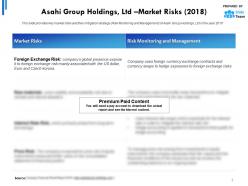 Asahi Group Holdings Ltd Market Risks 2018