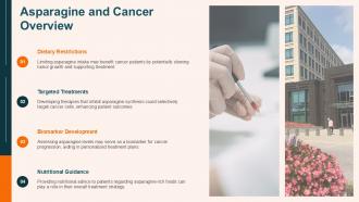 Asparagine And Cancer Overview PPT Summary ACP
