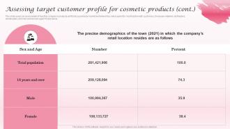 Assessing Target Customer Profile Cosmetic Industry Business Plan BP SS Designed Idea