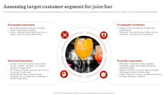 Assessing Target Customer Segment For Smoothie Bar Business Plan BP SS