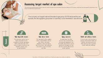 Assessing Target Market Of Spa Salon Beauty Spa Business Plan BP SS