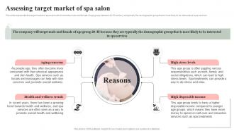 Assessing Target Market Of Spa Salon Spa Salon Business Plan BP SS