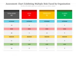 Assessment chart exhibiting multiple risk faced by organization Assessment chart exhibiting multiple risk faced by organization