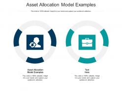 Asset allocation model examples ppt powerpoint presentation layouts good cpb