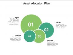 Asset allocation plan ppt powerpoint presentation icon gallery cpb