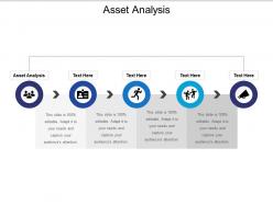 Asset analysis ppt powerpoint presentation pictures design templates cpb