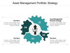 Asset management portfolio strategy ppt powerpoint presentation file structure cpb