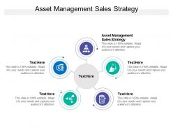 Asset management sales strategy ppt powerpoint presentation show graphics cpb