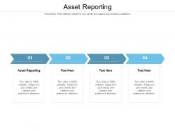 Asset reporting ppt powerpoint presentation outline picture cpb