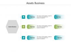 Assets business ppt powerpoint presentation model elements cpb