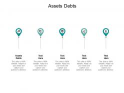 Assets debts ppt powerpoint presentation summary show cpb