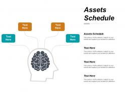 Assets schedule ppt powerpoint presentation slides graphics cpb