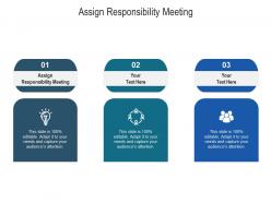 Assign responsibility meeting ppt powerpoint presentation infographics gallery cpb