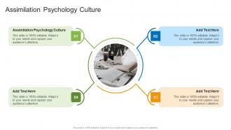 Assimilation Psychology Culture In Powerpoint And Google Slides Cpb