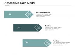 Associative data model ppt powerpoint presentation styles example cpb