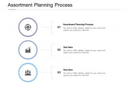 Assortment planning process ppt powerpoint presentation portfolio portrait cpb
