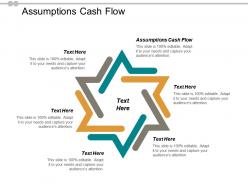 Assumptions cash flow ppt powerpoint presentation gallery themes cpb