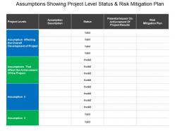 Assumptions showing project level status and risk mitigation plan