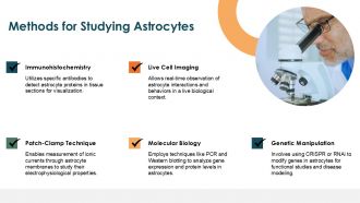 Astrocyte Cells PPT Example ACP Engaging Good