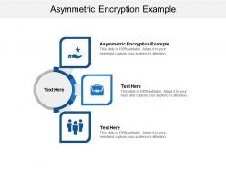 Asymmetric encryption example ppt powerpoint presentation icon elements cpb